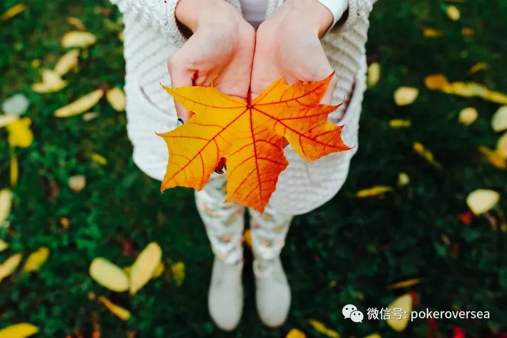 TRO如何应对？