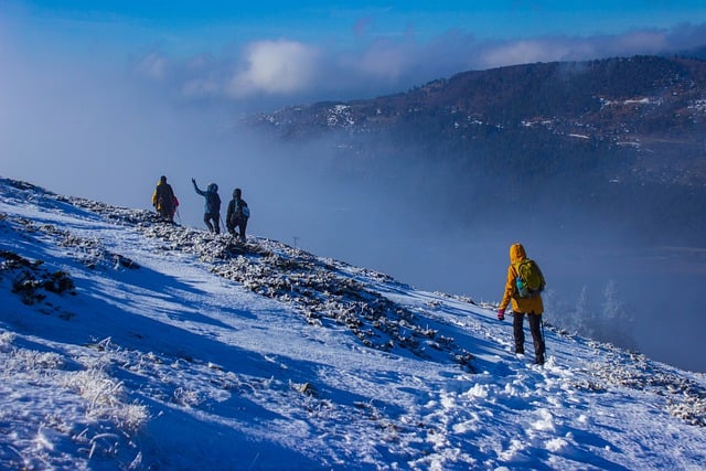 远足, 冬天, 山, 多雾路段, 雪, 人们, 徒步旅行者, 徒步旅行, 自然