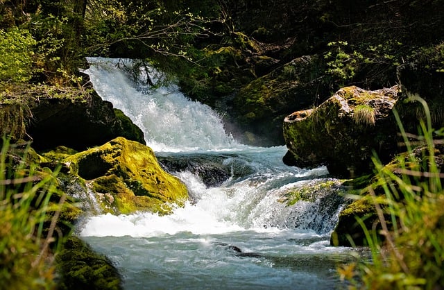 水, 山间溪流, 咆哮, 自然, 远足, 景观, 绿色, 瀑布, 溪, 森林