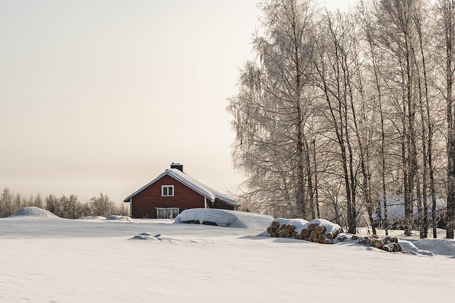 树木, 雪, 原野, 农场, 冬天, 寒冷的, 冰冷的, 地平线, 芬兰