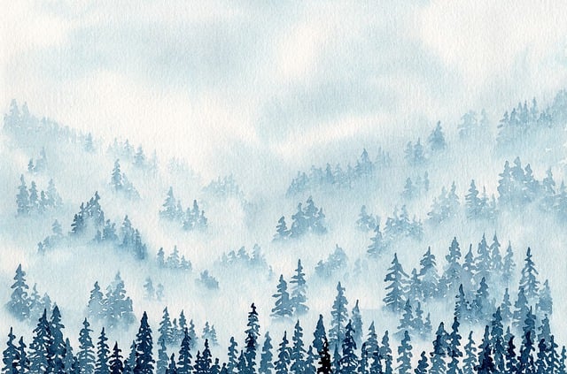 树木, 多雾路段, 森林, 云, 景观, 薄雾, 水彩, 神秘, 松树, 绘画