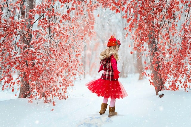 冬天, 孩子, 雪, 下雪的, 小姑娘, 红色的, 寒冷的, 寒冷, 冬天