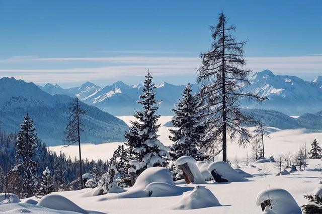 山, 多雾路段, 雪, 冬天, 雪景, 自然, 景观, 蓝色的, 寒冷的