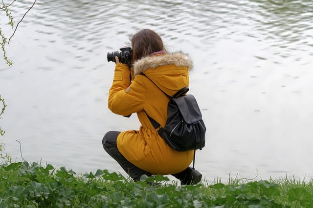 湖岸, 女士, 摄影师, 拍照, 湖, 随意的, 背包, 草, 自然