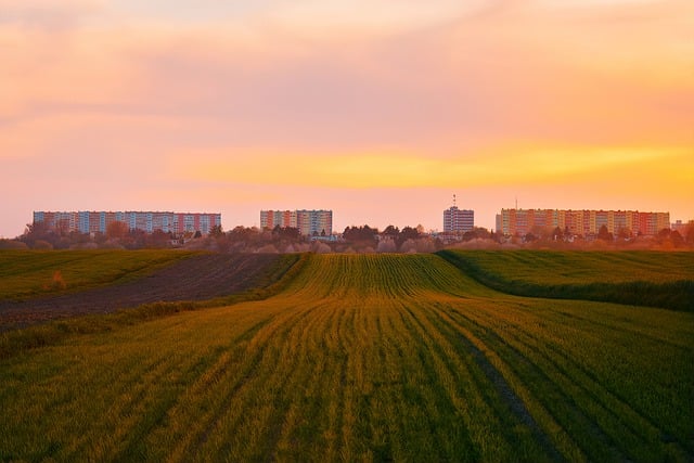 原野, 村庄, 农业, 建筑物, 的培养, 生长, 风景, 看法, 城市, 西