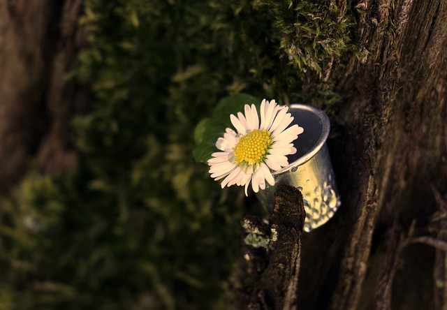 正在注册中的商标是否查询得到-怎么查?