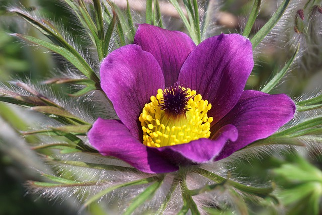 亚马逊广告的五大帮手有什么作用