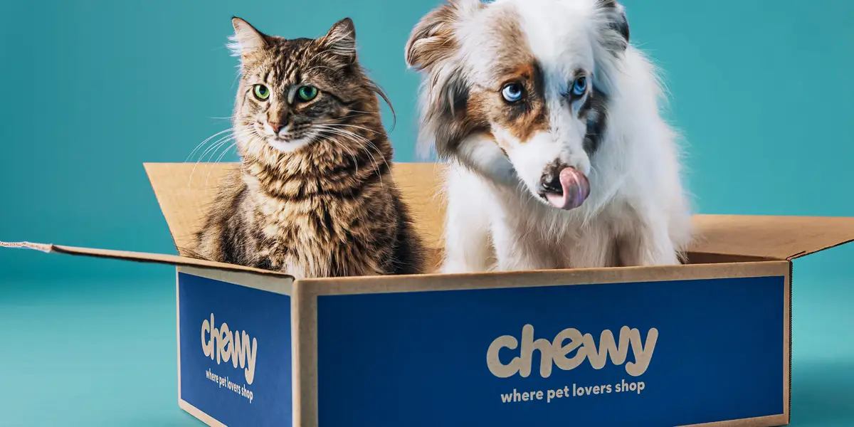 宠物电商巨头Chewy Q1销售额28.8亿美元，同比增长3.1%