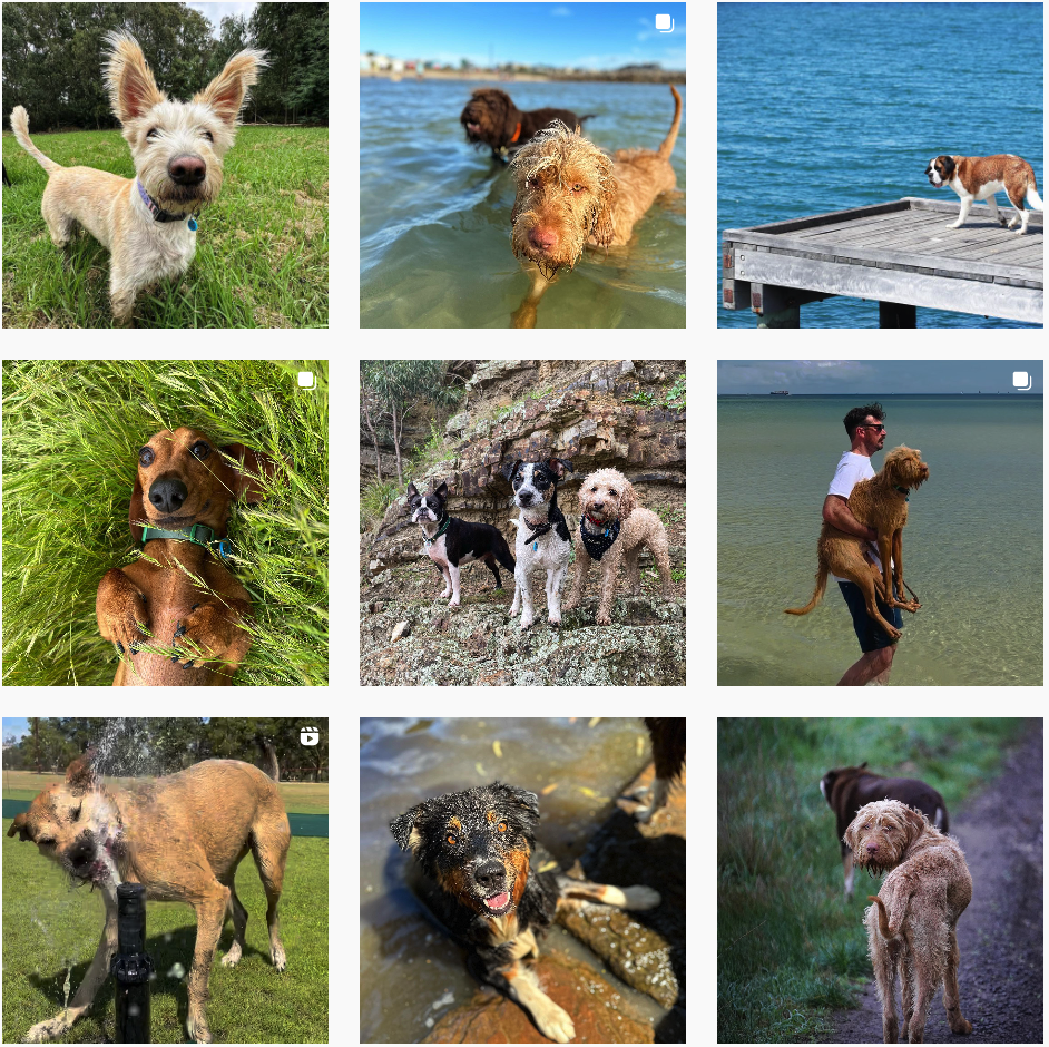 单款产品热卖6000万!Bellroy凭什么被称为轻薄钱包之王?