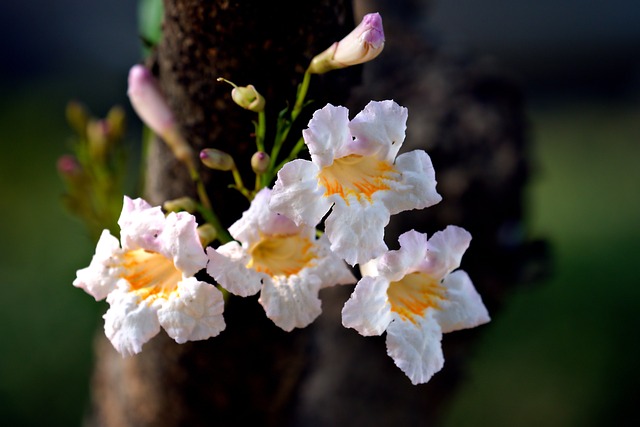 为什么选择跨境电商培训课程