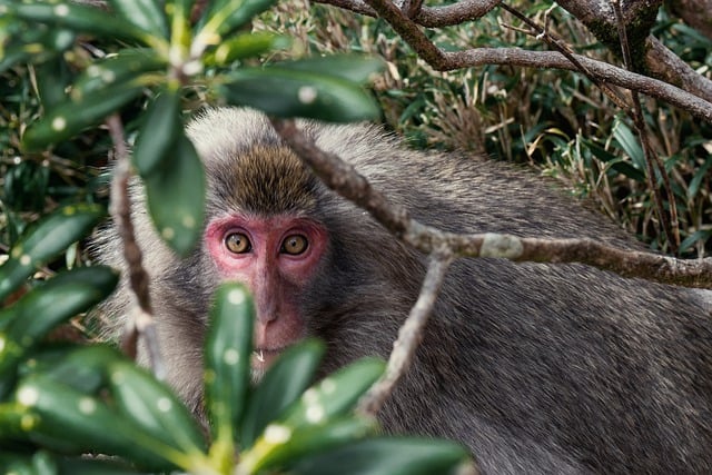 国际商标图片大全 