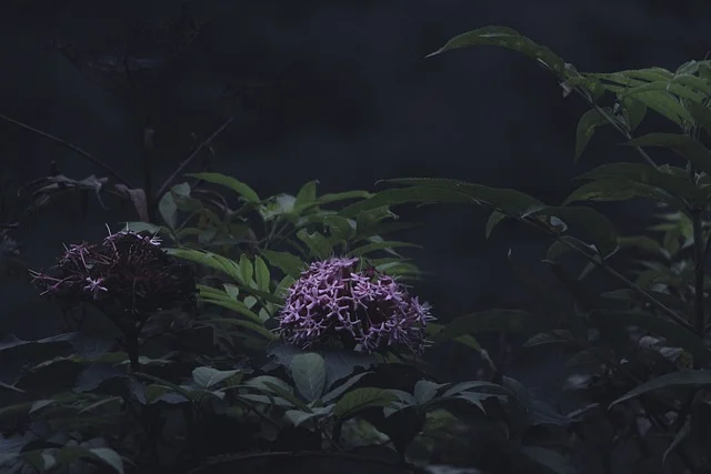 全球物流领域顶尖公司排名