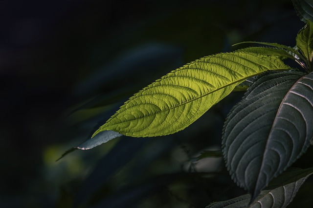 干货分享：爱飞海淘航班如何查询