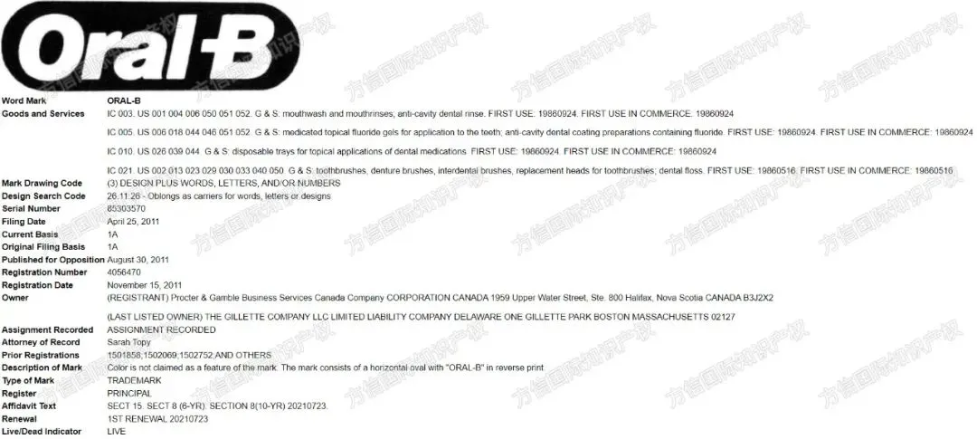 危险!连续3年登上Prime Day热销榜的爆款,知产信息大曝光!