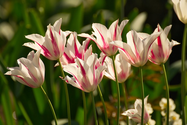 末尾org邮箱：有什么特点和优势？