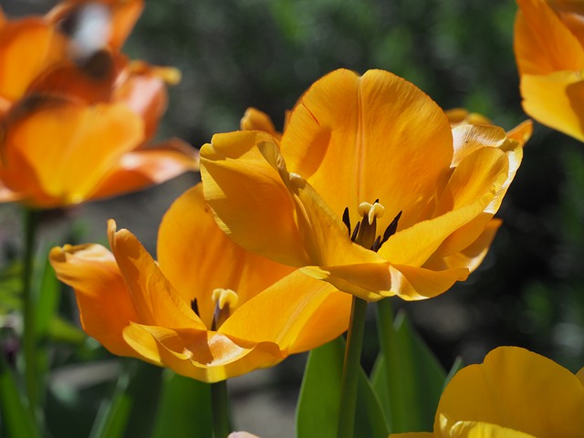  详解海关扣货的原因和放行时间