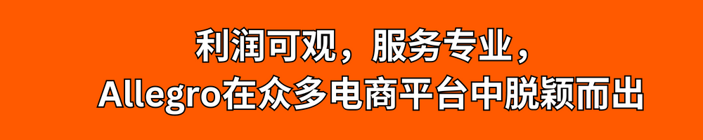 Allegro助力国际卖家进入蓝海市场，布局掘金新版图