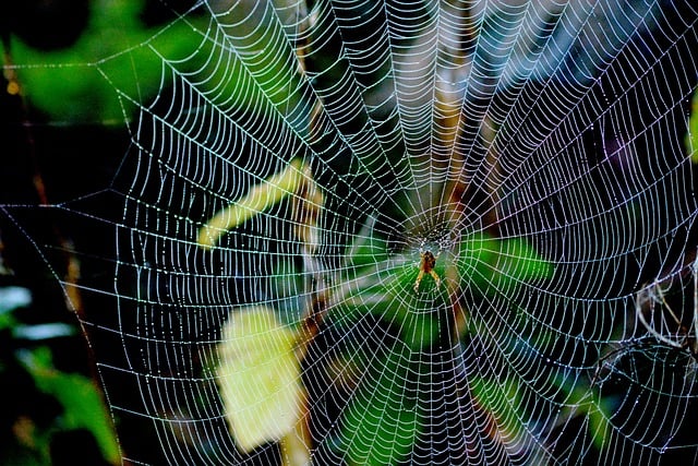  详解海外仓换标步骤及注意事项