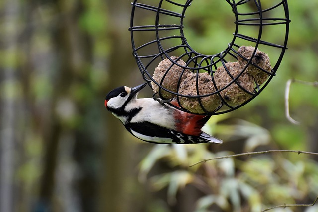  洞悉互联网发展趋势与前景分析