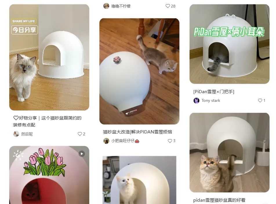 猫砂卖出上亿营收,这家宠物品牌火爆海内外!