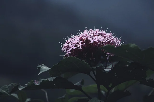 2022年TikTok还能赚钱吗-有哪些优势？