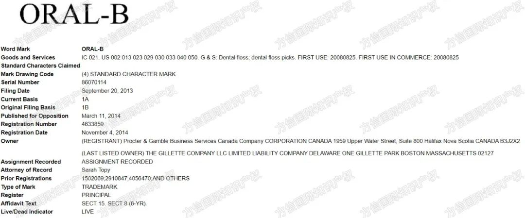 危险!连续3年登上Prime Day热销榜的爆款,知产信息大曝光!