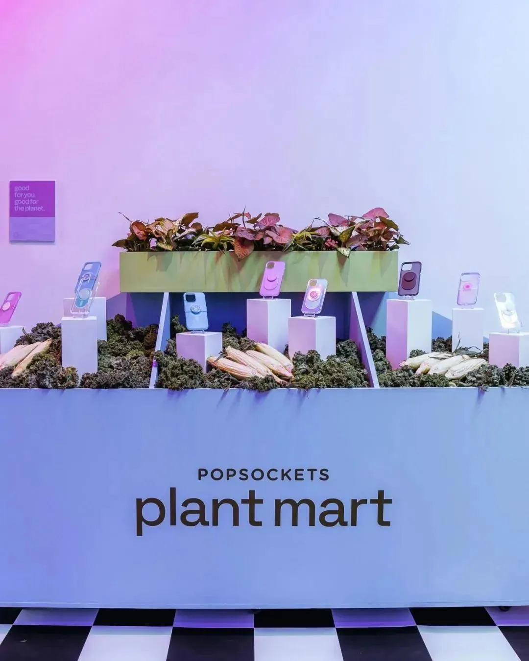 明星人手一个的手机气囊支架!Popsockets凭什么能卖到300元?