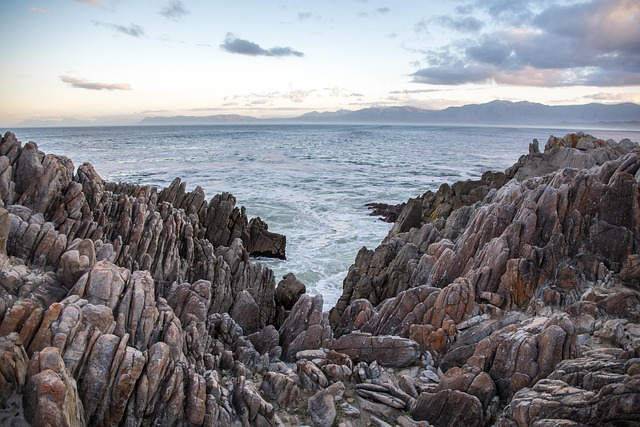 亚马逊书店购书官网app-亚马逊书店购书官网app如何开票？