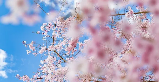 如何做海外电商?