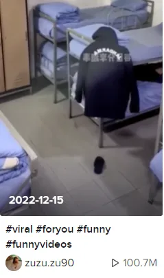 新手做TikTok:类目选对,流量翻倍!(上)