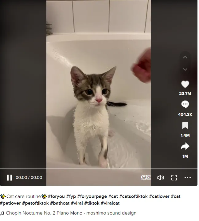 新手做TikTok:类目选对,流量翻倍!(上)