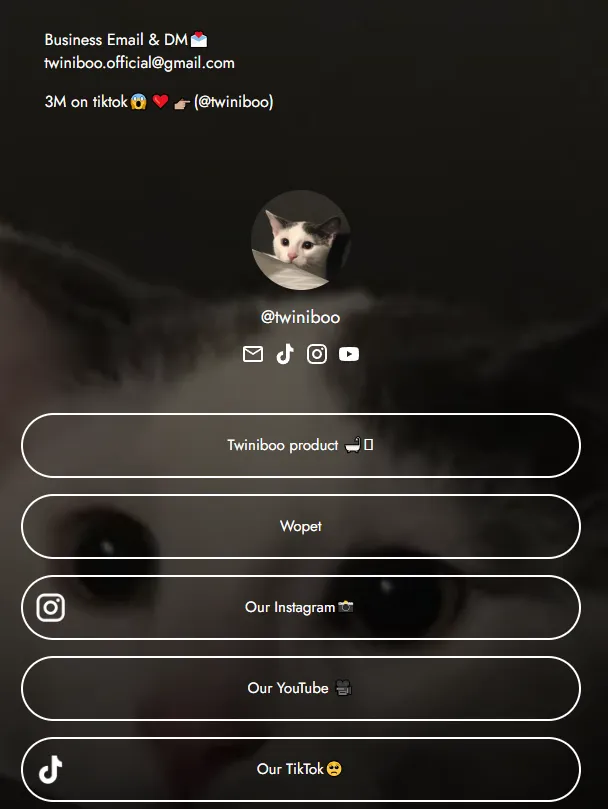 新手做TikTok:类目选对,流量翻倍!(上)
