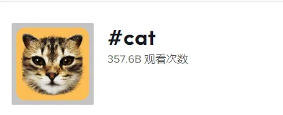 新手做TikTok:类目选对,流量翻倍!(上)