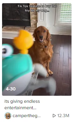 新手做TikTok:类目选对,流量翻倍!(上)