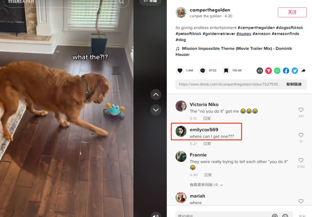 新手做TikTok:类目选对,流量翻倍!(上)