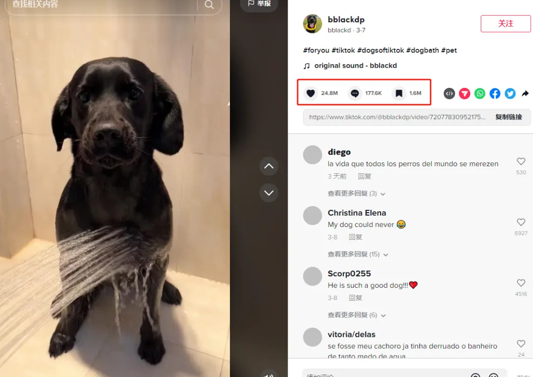新手做TikTok:类目选对,流量翻倍!(上)