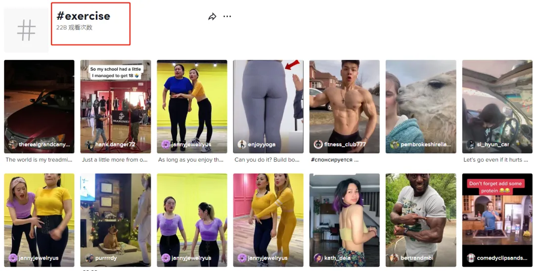 新手做TikTok:类目选对,流量翻倍!(上)