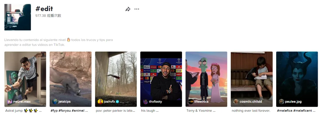 新手做TikTok:类目选对,流量翻倍!(中)
