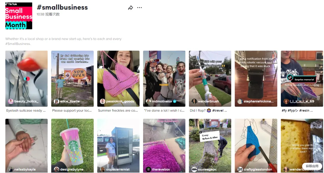 新手做TikTok:类目选对,流量翻倍!(中)