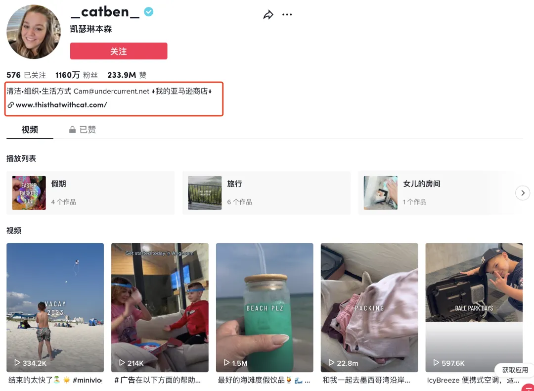 7384亿播放!这类账号在TikTok上的完播率和播放量都极高,你会如何变现?