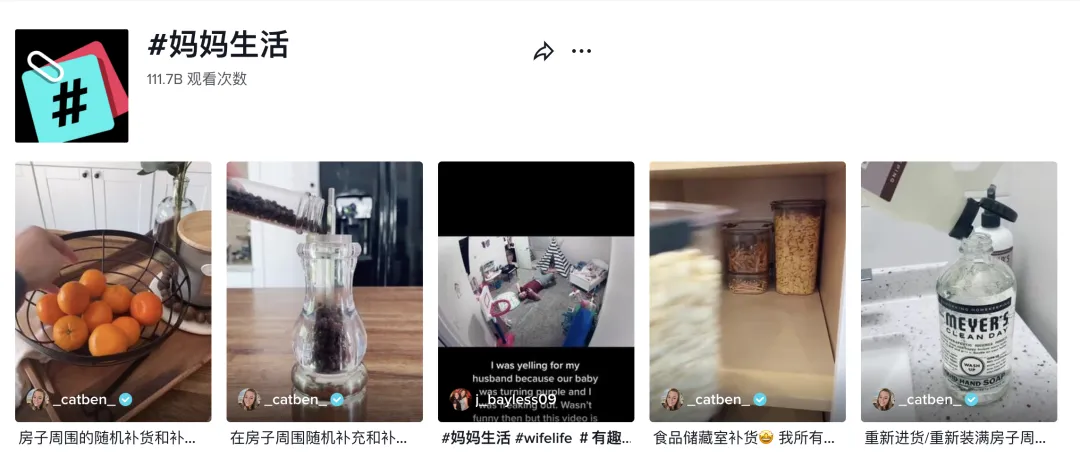 7384亿播放!这类账号在TikTok上的完播率和播放量都极高,你会如何变现?