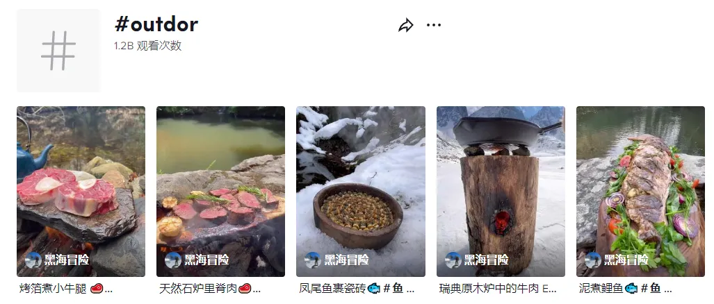 7384亿播放!这类账号在TikTok上的完播率和播放量都极高,你会如何变现?