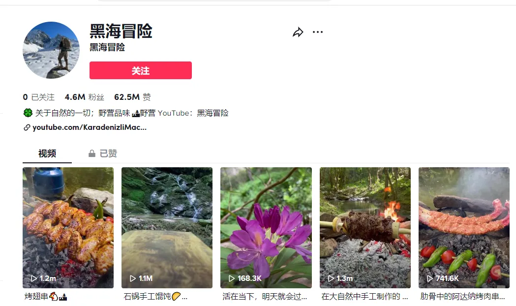 7384亿播放!这类账号在TikTok上的完播率和播放量都极高,你会如何变现?