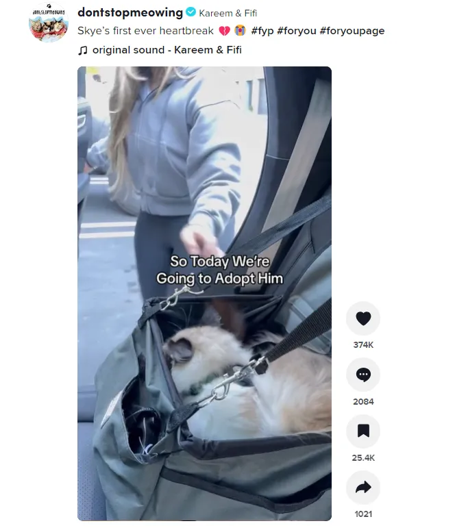 43.58万亿!TikTok 标签流量TOP,用好标签,流量飞天!