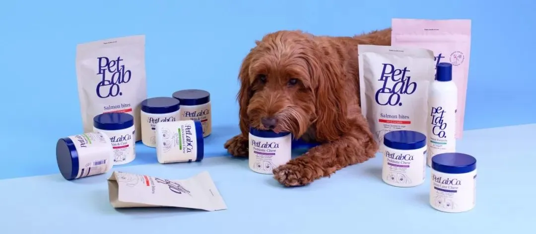 以PetLab Co.为例,探究宠物DTC品牌如何通过品牌思维赢得同品类最佳?