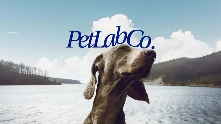 以PetLab Co.为例,探究宠物DTC品牌如何通过品牌思维赢得同品类最佳?