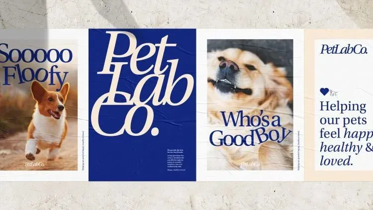 以PetLab Co.为例,探究宠物DTC品牌如何通过品牌思维赢得同品类最佳?