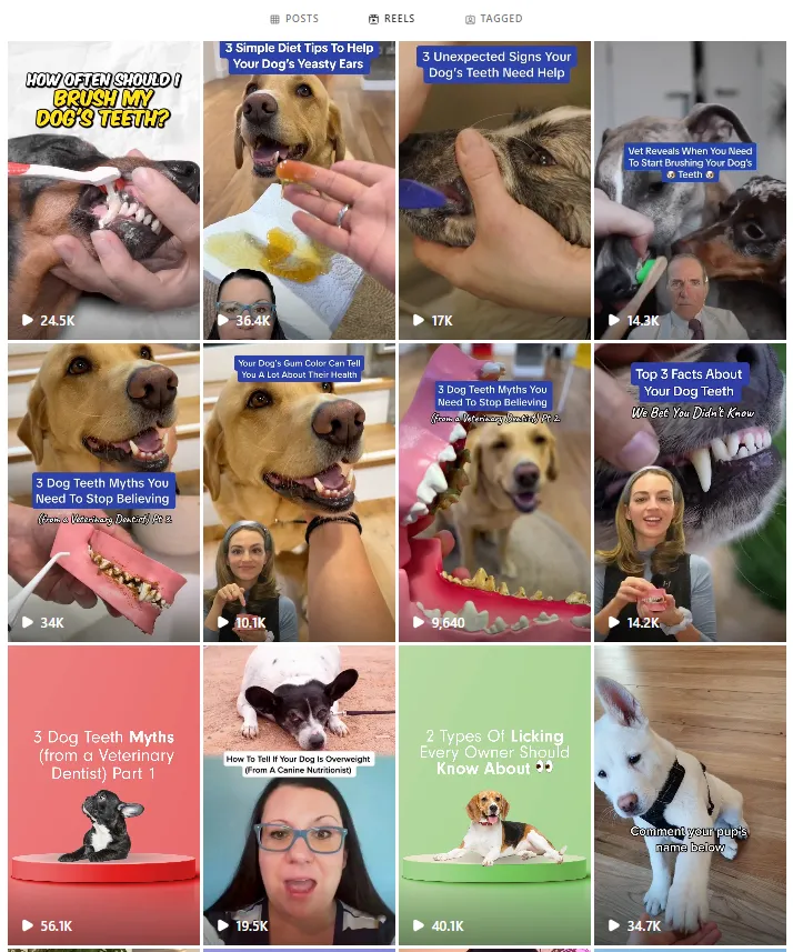以PetLab Co.为例,探究宠物DTC品牌如何通过品牌思维赢得同品类最佳?