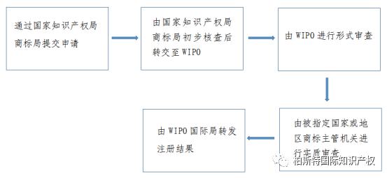 一图看懂系列：马德里国际商标注册流程