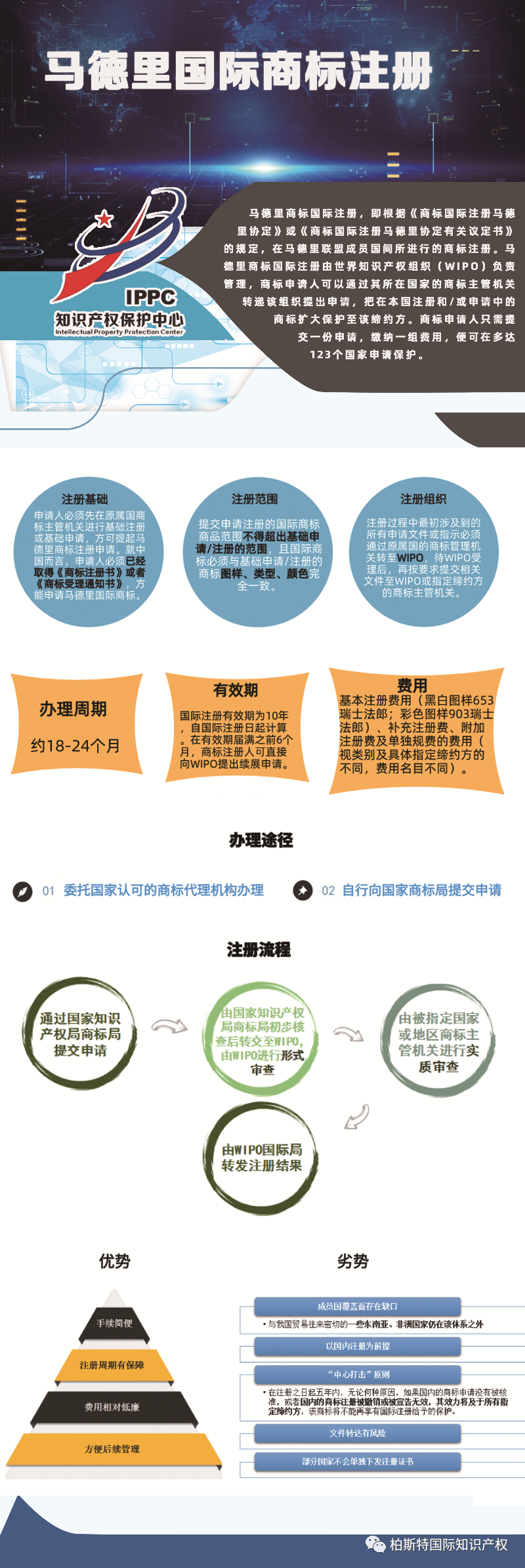 一图看懂系列：马德里国际商标注册流程